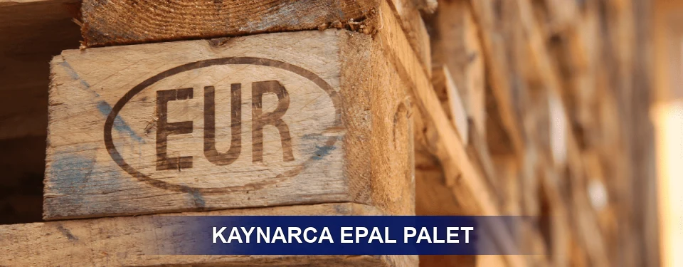Kaynarca Standart Yapı