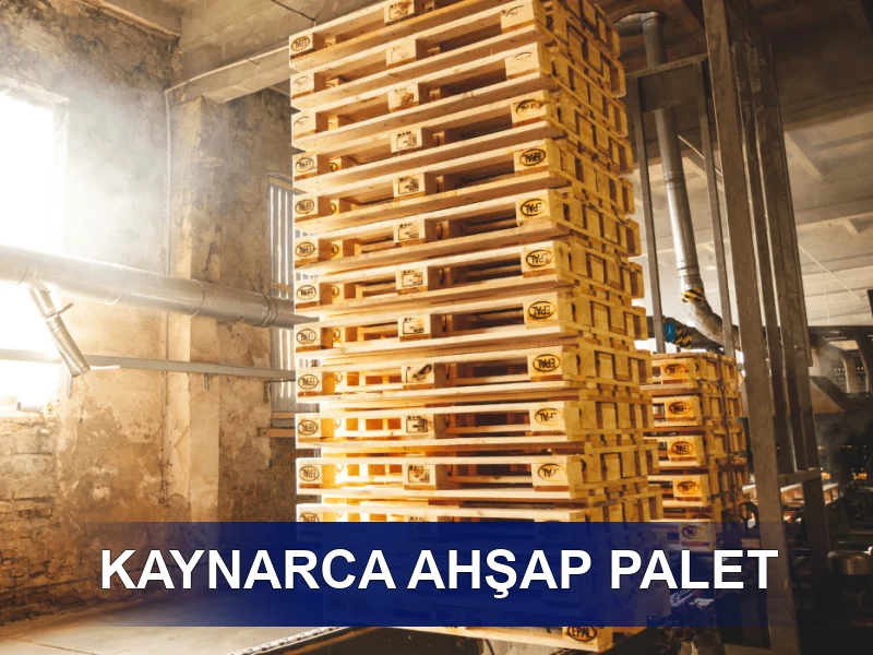 Kaynarca Palet Galeri 4