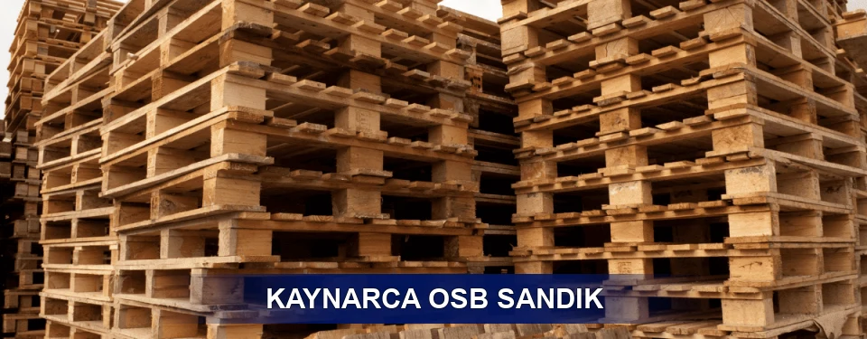 Kaynarca Ölçü Planı