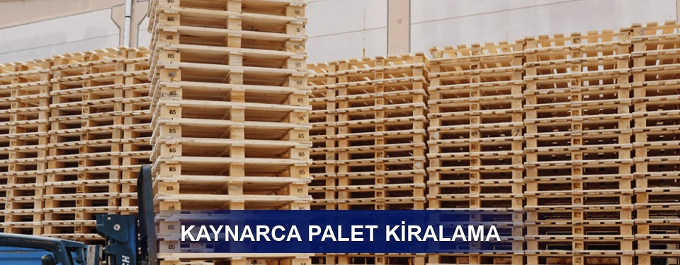 Kaynarca Uzun Dönem